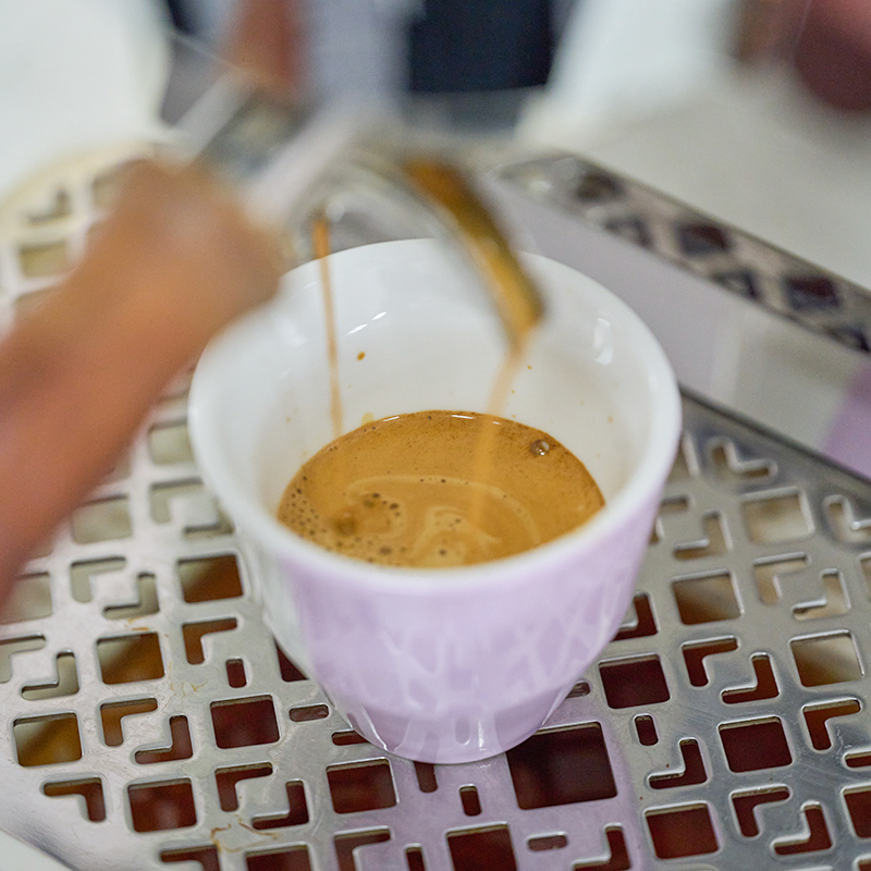 كوب قهوة جديد من سلسلة باريستا - مراجعة Coffee Equipment Distributor وسعره